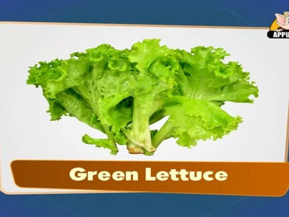 Flap Book - Vegetables