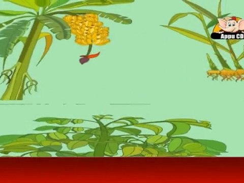 Learn about Plants in Kannada - Herbs