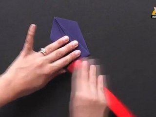 Origami in Gujarati - Learn to Make a Pelican