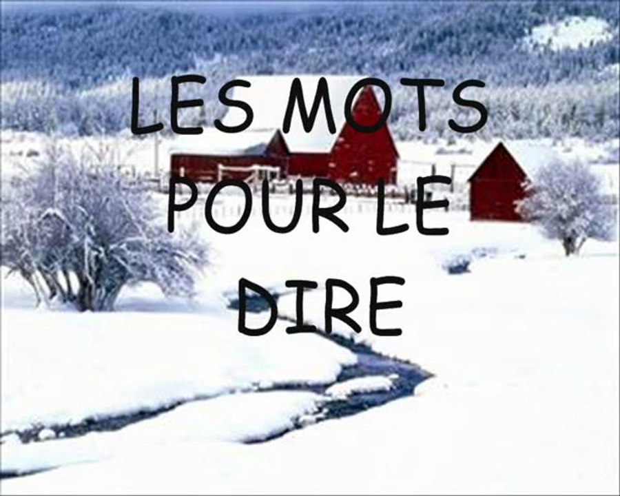 LES MOTS POUR LE DIRE