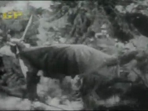 Tarzan Aur Jadui Chirag Comedy Scene