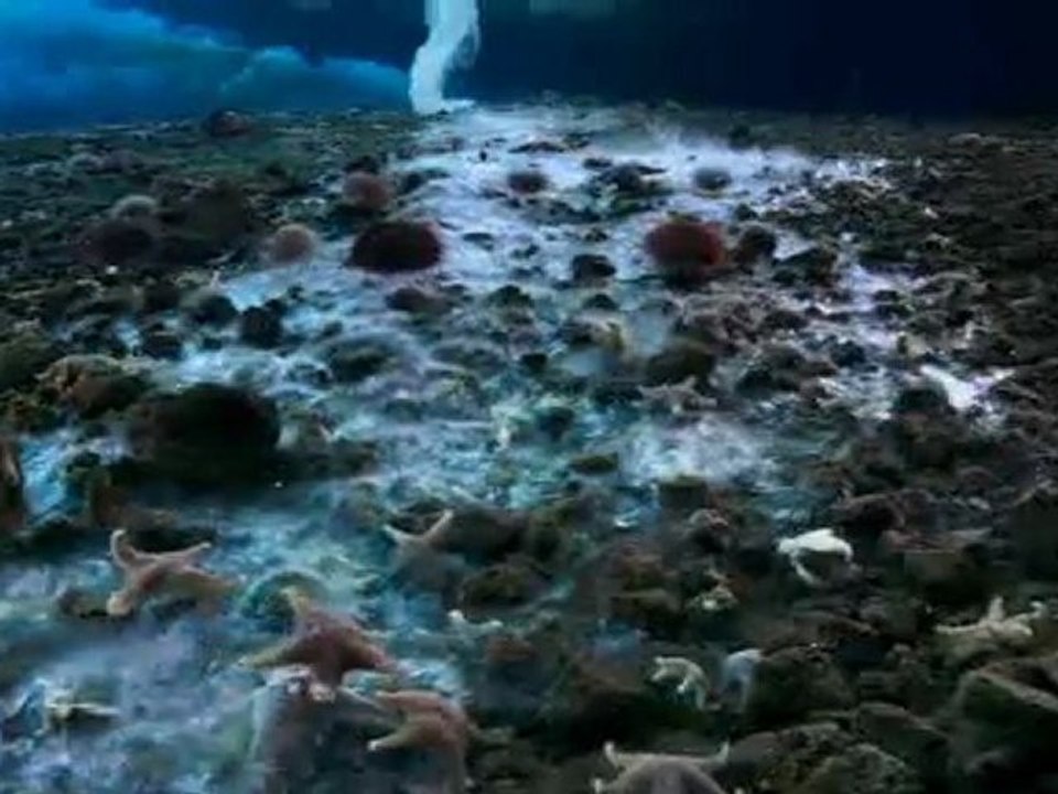 Impresionante columna de hielo en el fondo del mar .