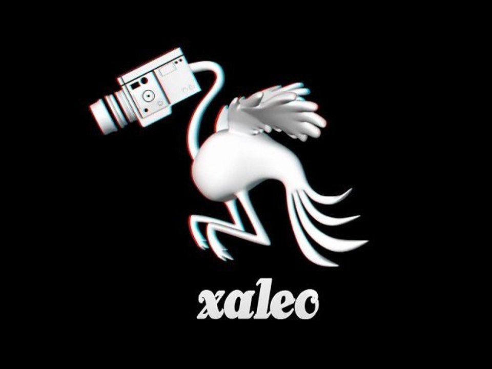 Showreel Xaleo (2011)