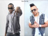 Sean Paul ft.Leftside - Party Campaign{Mas Fuego Riddim} (Dec 2011) Audio