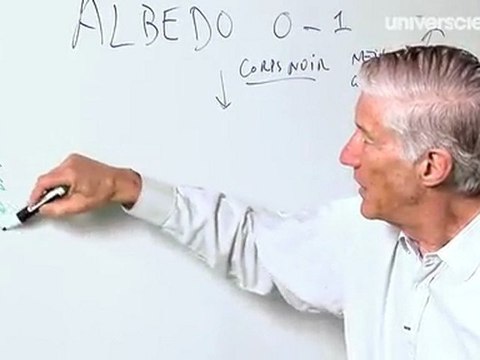 Les sapins noirs et pointus