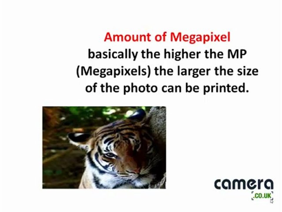 Why Choose Digital Camera?