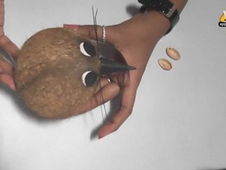 Learn to Make a Rat with Coconut - Arts & Crafts