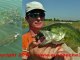 Pêche du black bass aux leurres souples Ecogear sur le Lez par Europêche34