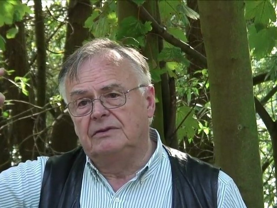 La Seine à Herblay - Visitre guidée lors d'une ballade à Herblay sur les quais de Seine - Histoire d'un village