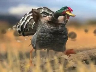 15s Turducken Holiday Video