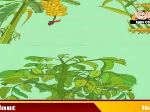 Learn About Plants - Herbs