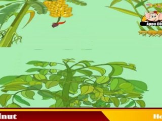 Learn About Plants - Herbs