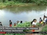 COP17: indígenas amazónicos plantean oposición a REDD 