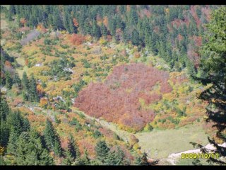 Yerelma (cevatoz) görüntüler   ''recebim- kulun kuluna tapar''
