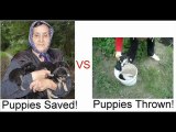 PUPPIES SAVED or NOT!!!!