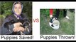 PUPPIES SAVED or NOT!!!!