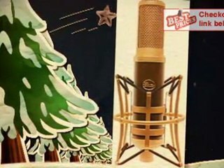 TOP 10 Best Ribbon Microphones to Buy