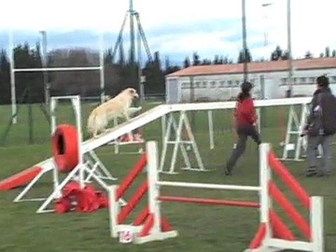 CERISE DEGRE CARCASSONNE 04 12 2011