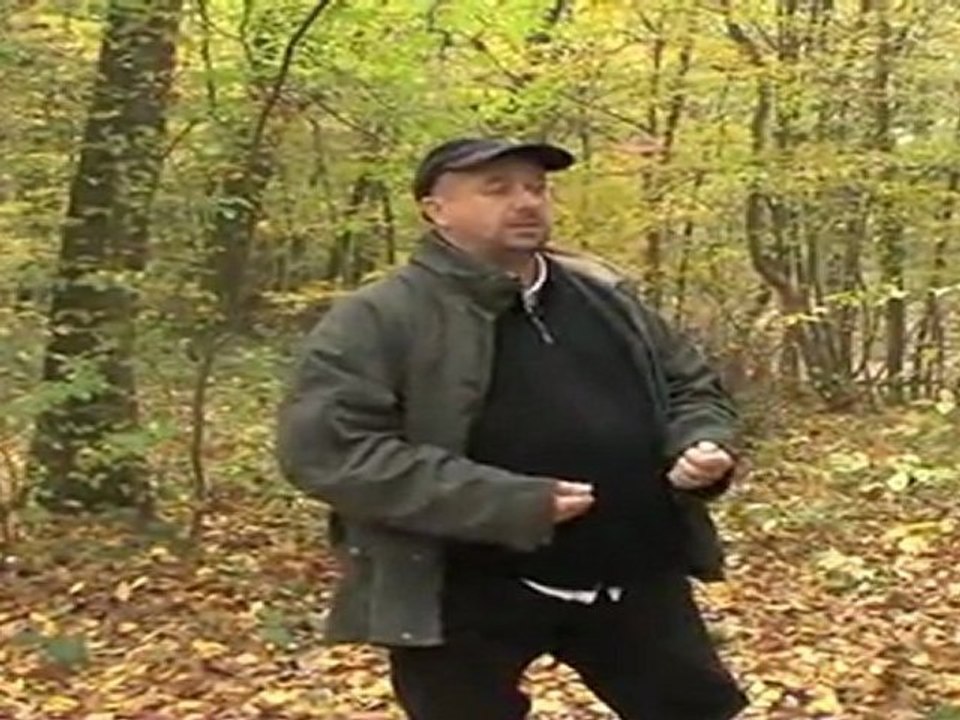 Carbone 42 - La forêt de Lespinasse / part1