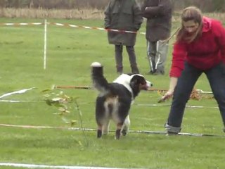 t'ibout cavage capednac