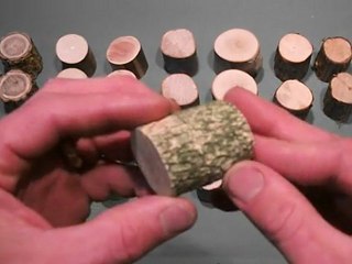 jeu pour reconnaître les arbres