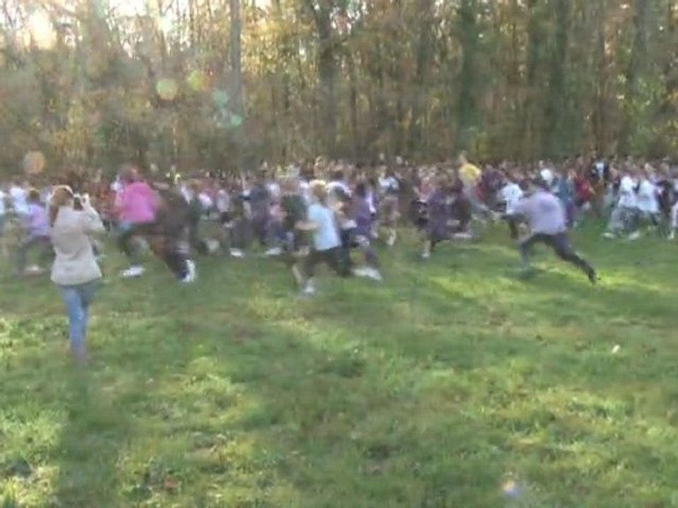 Cross départemental 2011 des jeunes, Guesnes (86)