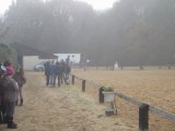 Concours dressage Poney 2 Préliminaire 20-11-11