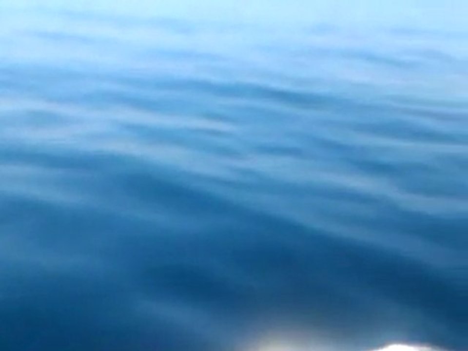 large de toulon.