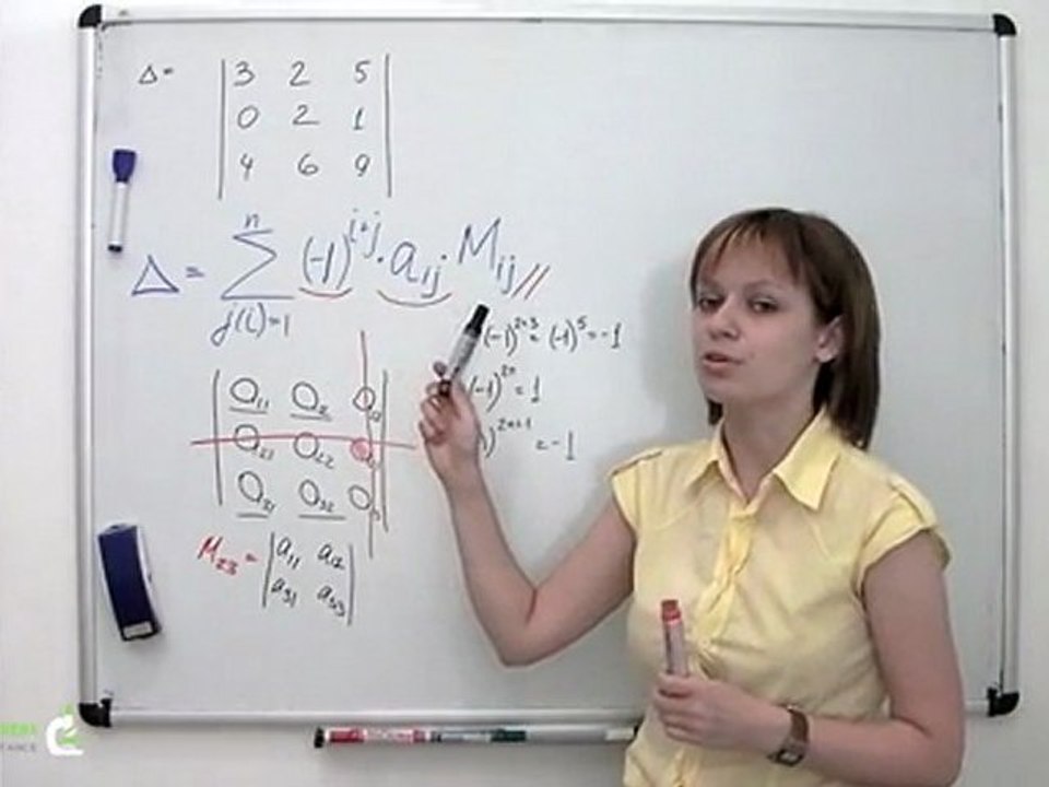 Finding Determinants