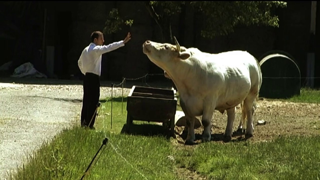 Pour l'amour d'un enfant  - court Métrage