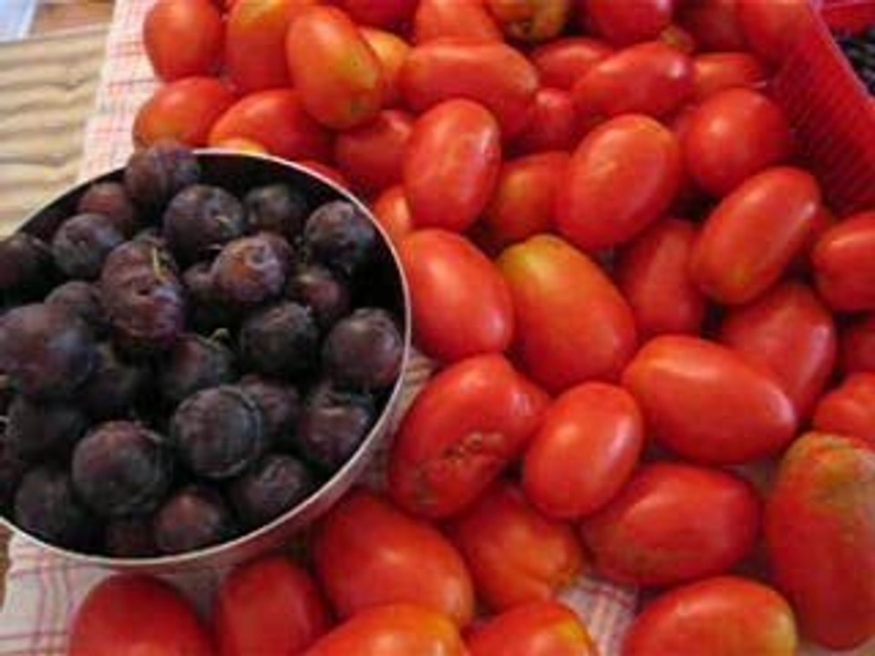 Retour du marché Jean-Talon