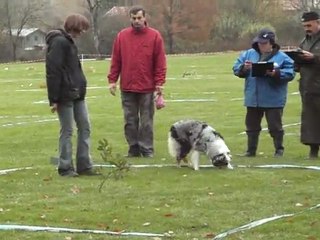 swanny cavage capdenac