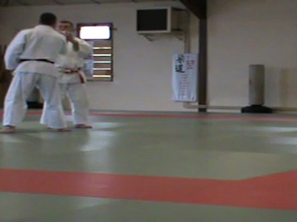 GOSHIN JUTSU KODOKAN 2