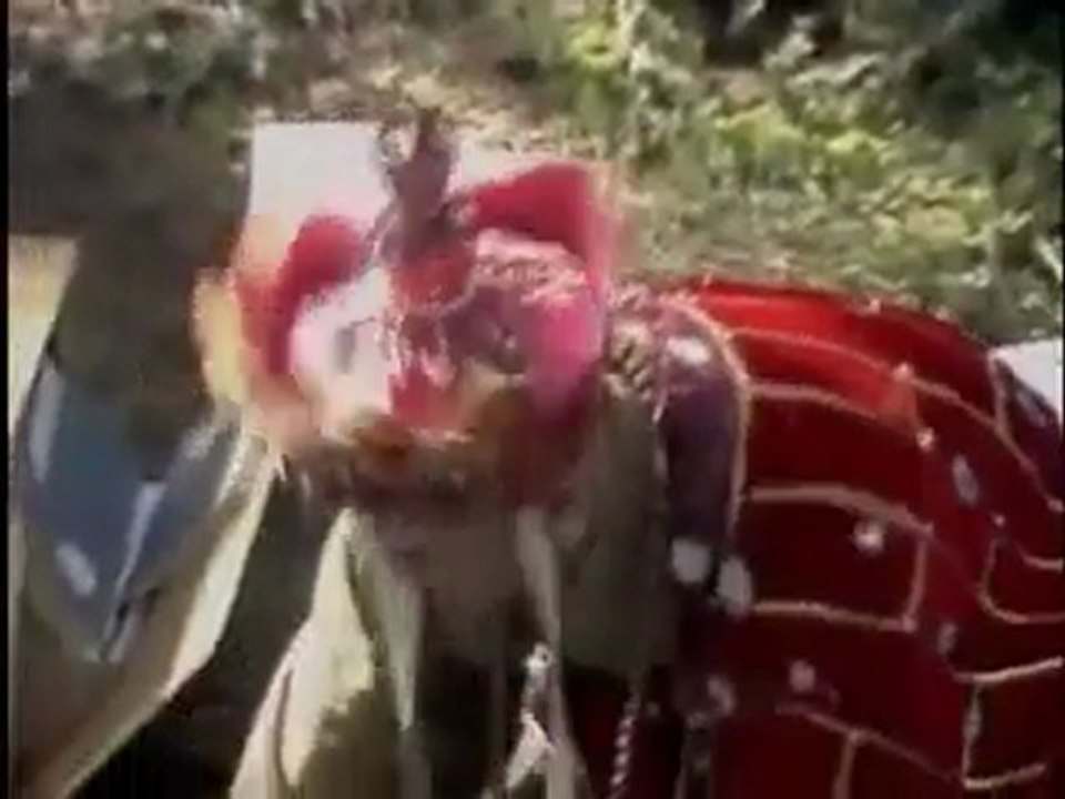TDK DVD 25 Final