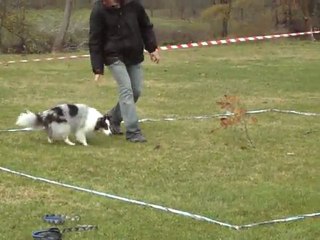 verylee cavage capdenac