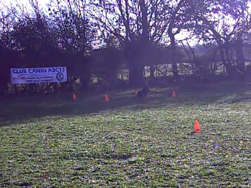 CLIP des Côteaux du Lys