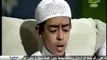 Très belle récitation Masha-Allah - Mahmoud Hijazi - Surah An-Neml - Vidéos sur Islam et Saint Coran