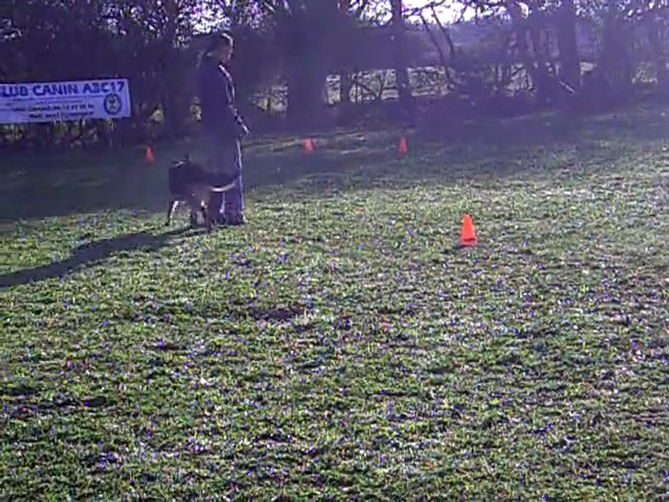 CLIP des Côteaux du Lys