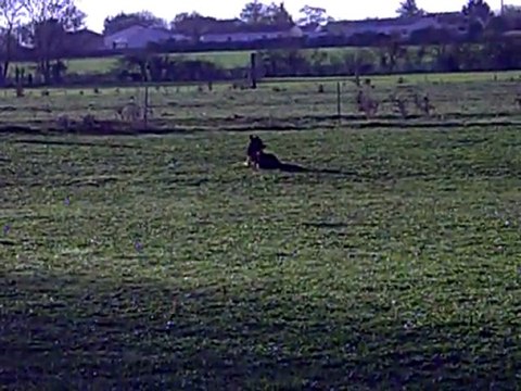 CLIP des Côteaux du Lys