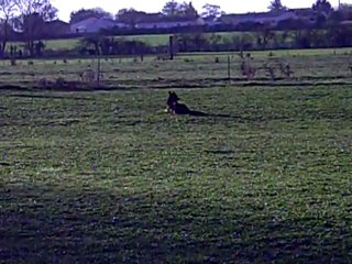 CLIP des Côteaux du Lys