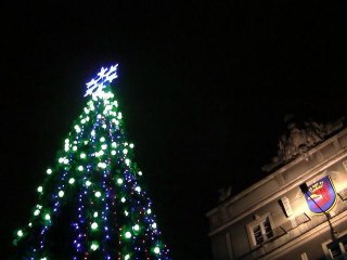 Choinka rozbłysnęła  przed Urzędem Miasta