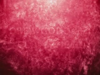 The Cabin In the Woods