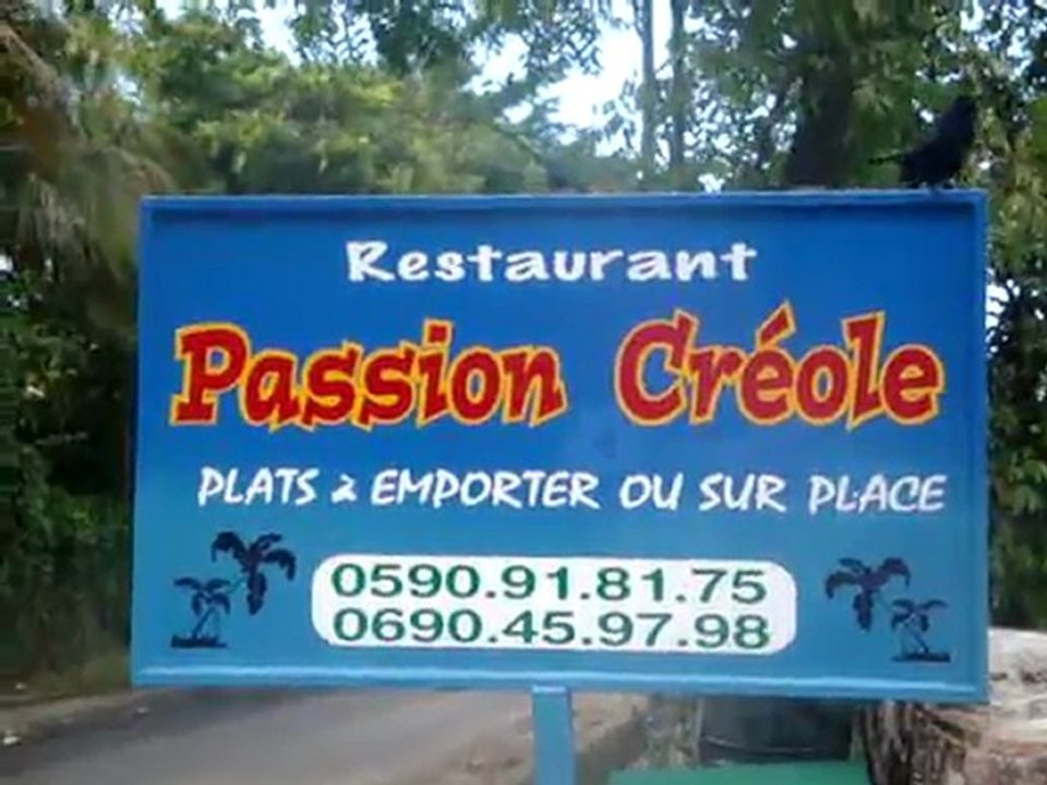 Passion Créole et les merles de Deshaies