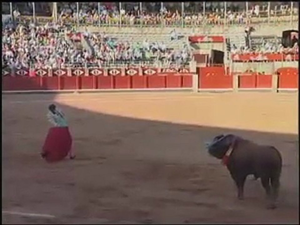 DAVID MORA CON CIRUELO DE TORREALTA