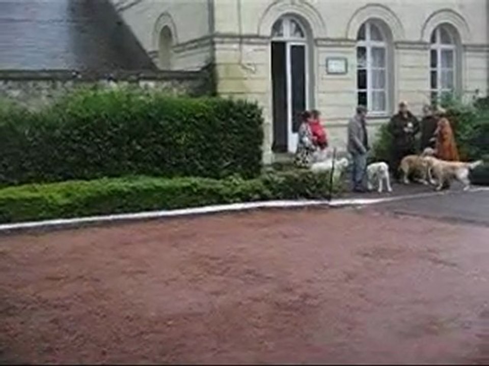 Griotte Roiffé NE 11-9-11 Pupy femelle