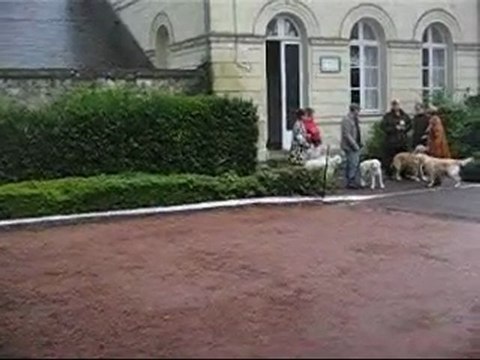 Griotte Roiffé NE 11-9-11 Pupy femelle