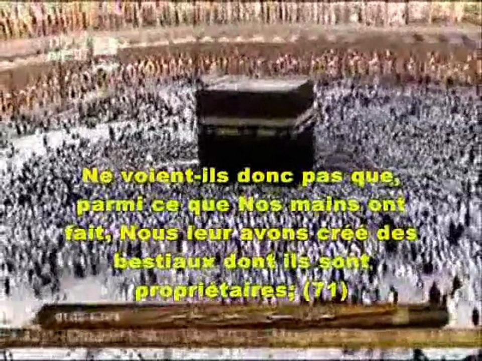 Cheikh Al Kouchi - Sourate Ya-Sin - Verset 61 -  القارئ العيون الكوشي سورة يس