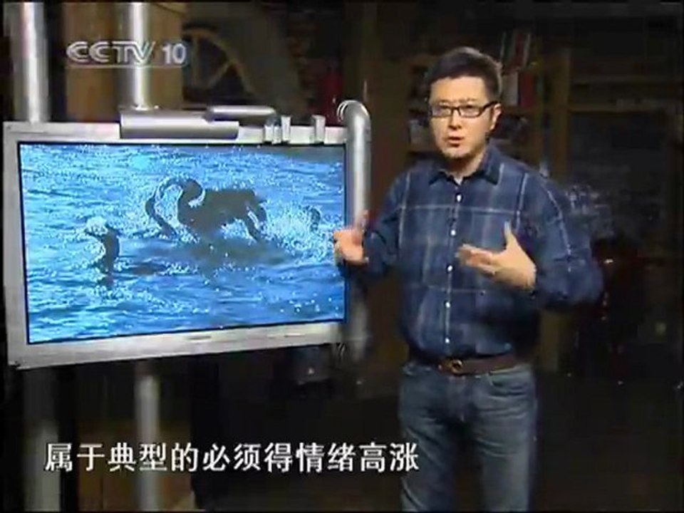 洱海训鹰