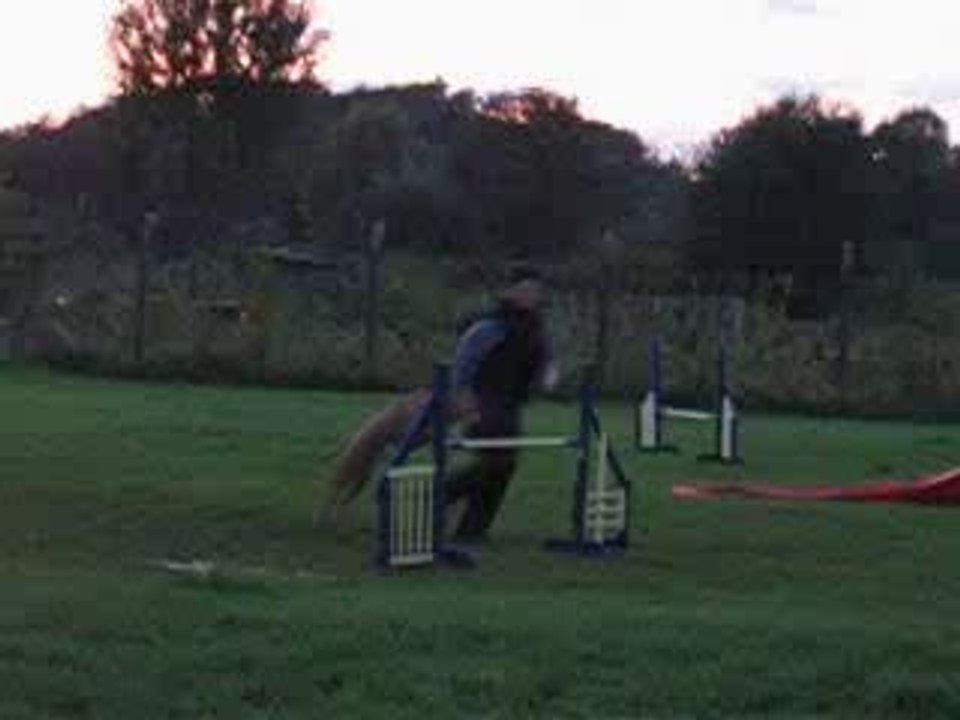 virus en agility