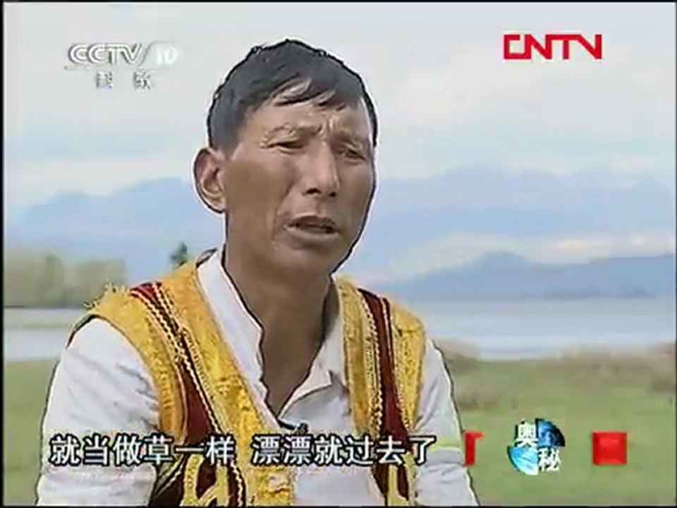 洱海上的鱼鹰下